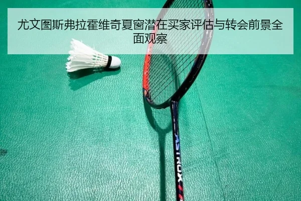 尤文图斯弗拉霍维奇夏窗潜在买家评估与转会前景全面观察