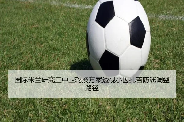 国际米兰研究三中卫轮换方案透视小因扎吉防线调整路径